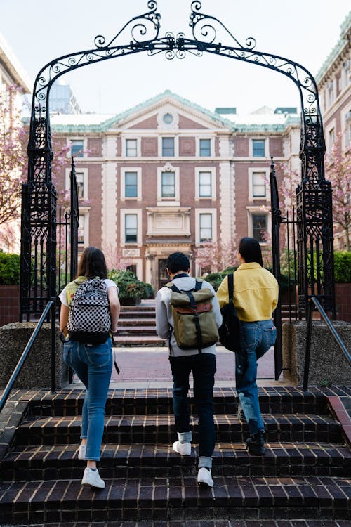 Free Back View of People Walking into a Campus Stock Photo